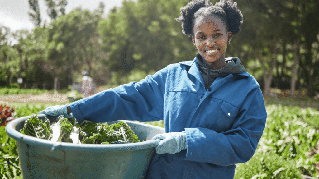 Agriseta Learnerships and Internships applications and guide learnerstag