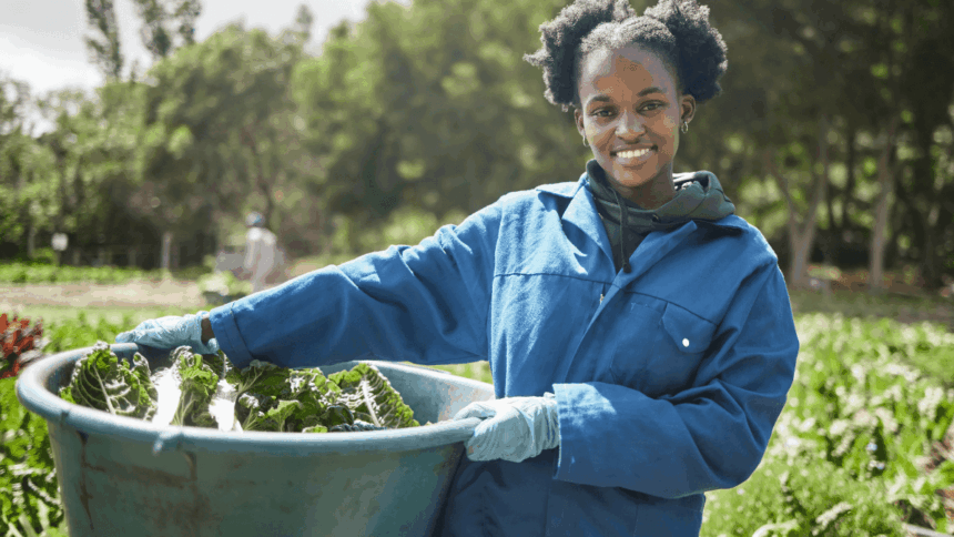 AgriSETA Learnership Opportunities applications